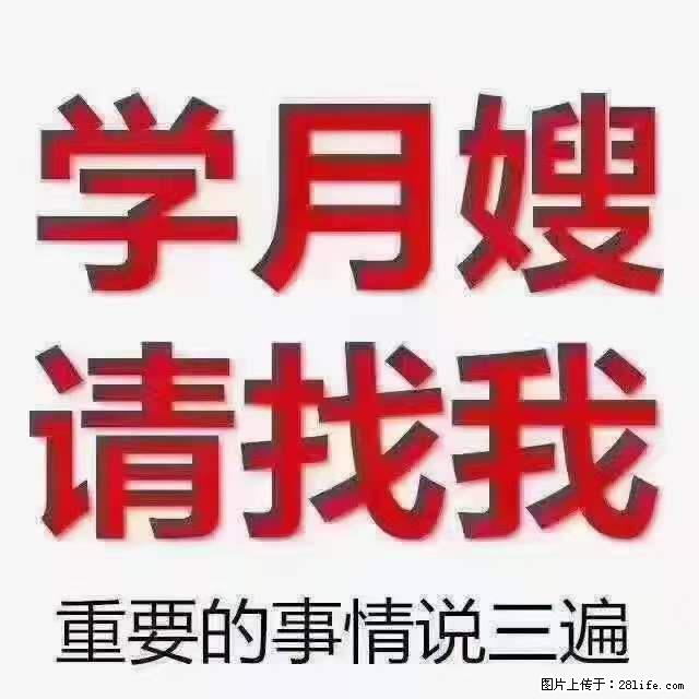 为什么要学习月嫂,育婴师? - 新手上路 - 淄博生活社区 - 淄博28生活网 zb.28life.com