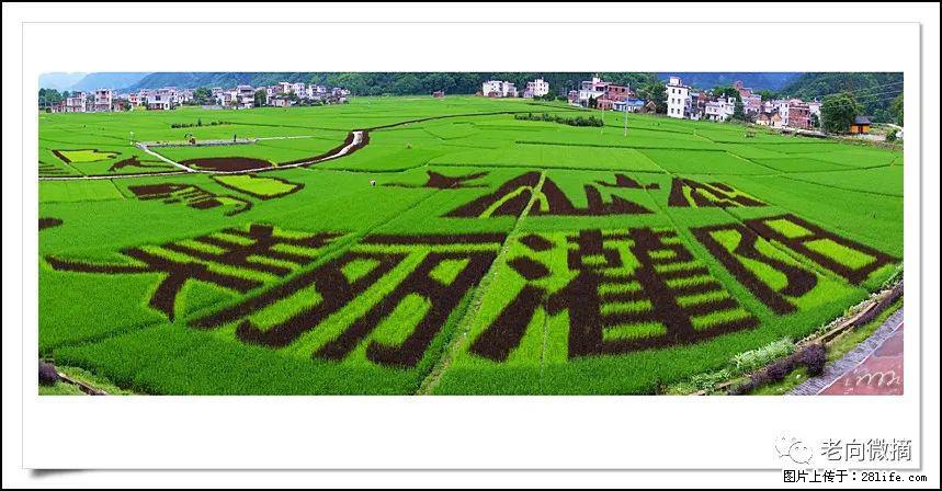 【春天,广西桂林灌阳县向您发出邀请!】开篇 - 游山玩水 - 淄博生活社区 - 淄博28生活网 zb.28life.com