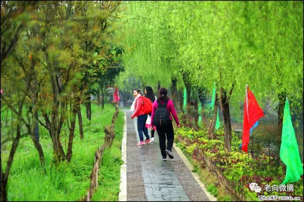 【春天,广西桂林灌阳县向您发出邀请!】江口老街又逢春 - 游山玩水 - 淄博生活社区 - 淄博28生活网 zb.28life.com