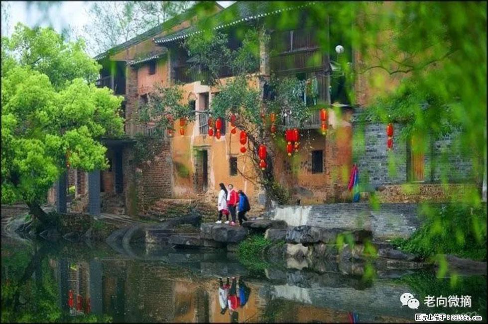 【春天,广西桂林灌阳县向您发出邀请!】江口老街又逢春 - 游山玩水 - 淄博生活社区 - 淄博28生活网 zb.28life.com