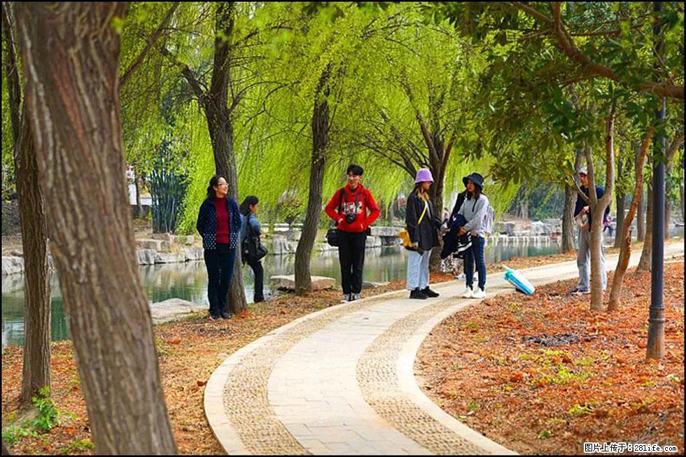 【春天,广西桂林灌阳县向您发出邀请!】江口老街又逢春 - 游山玩水 - 淄博生活社区 - 淄博28生活网 zb.28life.com