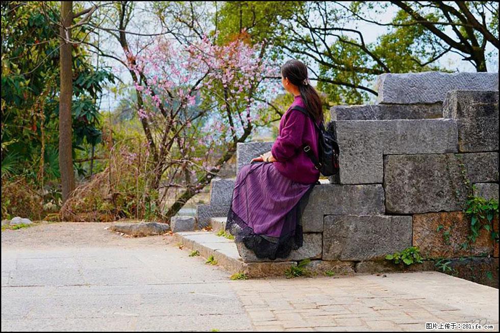 【春天,广西桂林灌阳县向您发出邀请!】江口老街又逢春 - 游山玩水 - 淄博生活社区 - 淄博28生活网 zb.28life.com