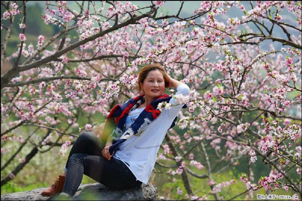 【春天，广西桂林灌阳县向您发出邀请！】望月岭上桃花开 - 游山玩水 - 淄博生活社区 - 淄博28生活网 zb.28life.com