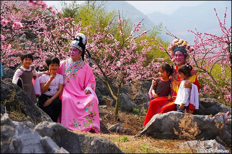 【春天，广西桂林灌阳县向您发出邀请！】望月岭上桃花开 - 游山玩水 - 淄博生活社区 - 淄博28生活网 zb.28life.com