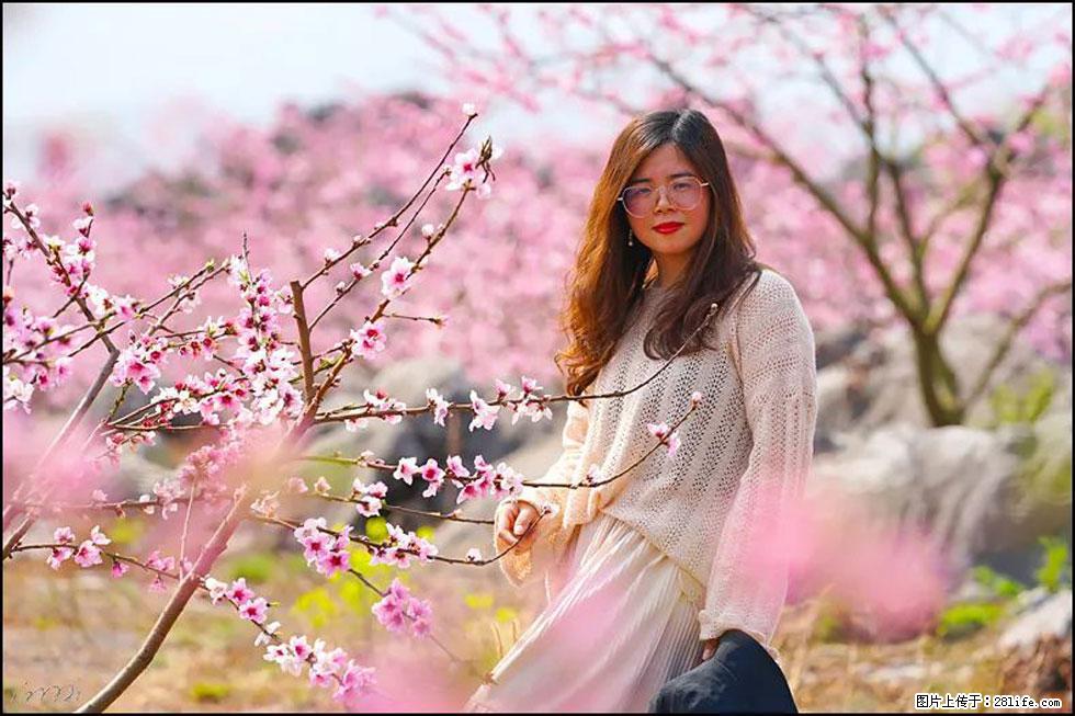 【春天，广西桂林灌阳县向您发出邀请！】望月岭上桃花开 - 游山玩水 - 淄博生活社区 - 淄博28生活网 zb.28life.com