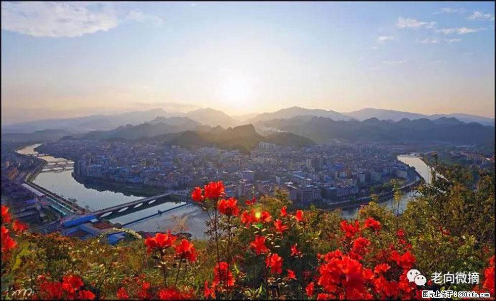 【春天,广西桂林灌阳县向您发出邀请!】登麒麟山,相约映山红 - 游山玩水 - 淄博生活社区 - 淄博28生活网 zb.28life.com