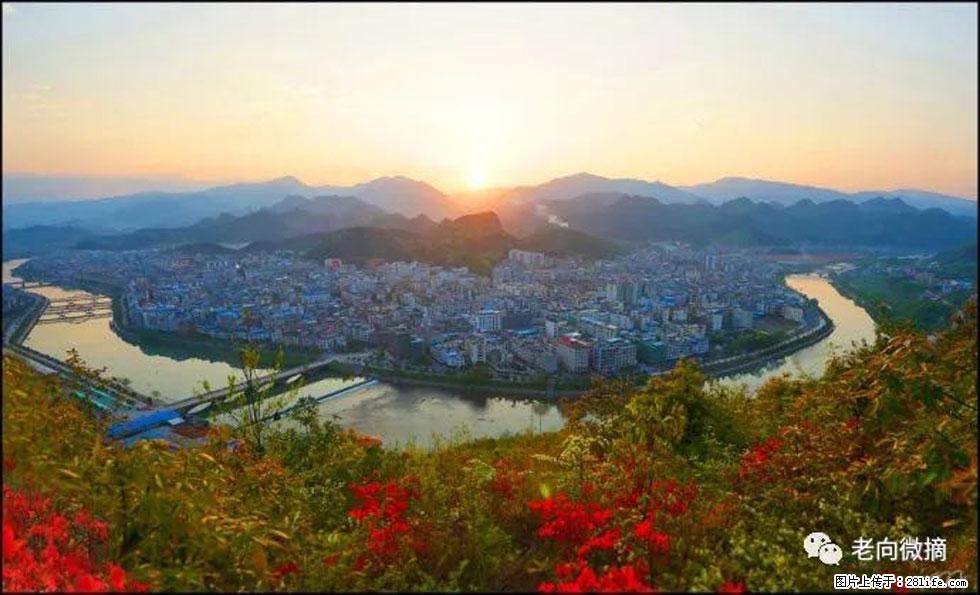 【春天,广西桂林灌阳县向您发出邀请!】登麒麟山,相约映山红 - 游山玩水 - 淄博生活社区 - 淄博28生活网 zb.28life.com