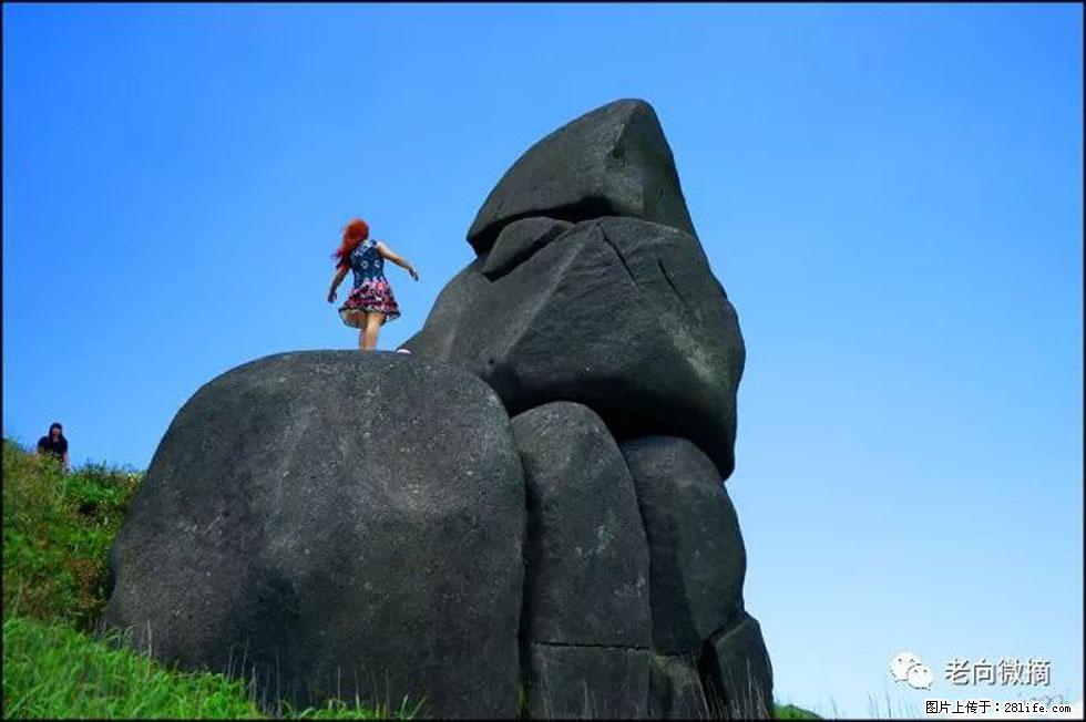 【春天，广西桂林灌阳县向您发出邀请！】宝盖山上映山红 - 游山玩水 - 淄博生活社区 - 淄博28生活网 zb.28life.com