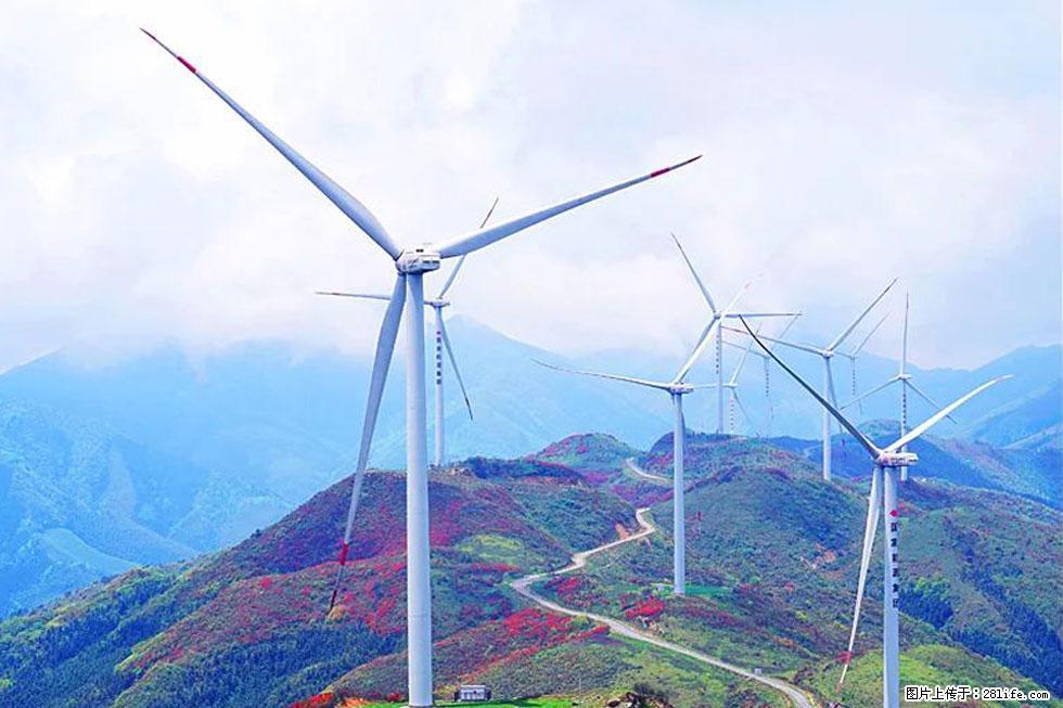 【春天，广西桂林灌阳县向您发出邀请！】春木界上映山红 - 游山玩水 - 淄博生活社区 - 淄博28生活网 zb.28life.com