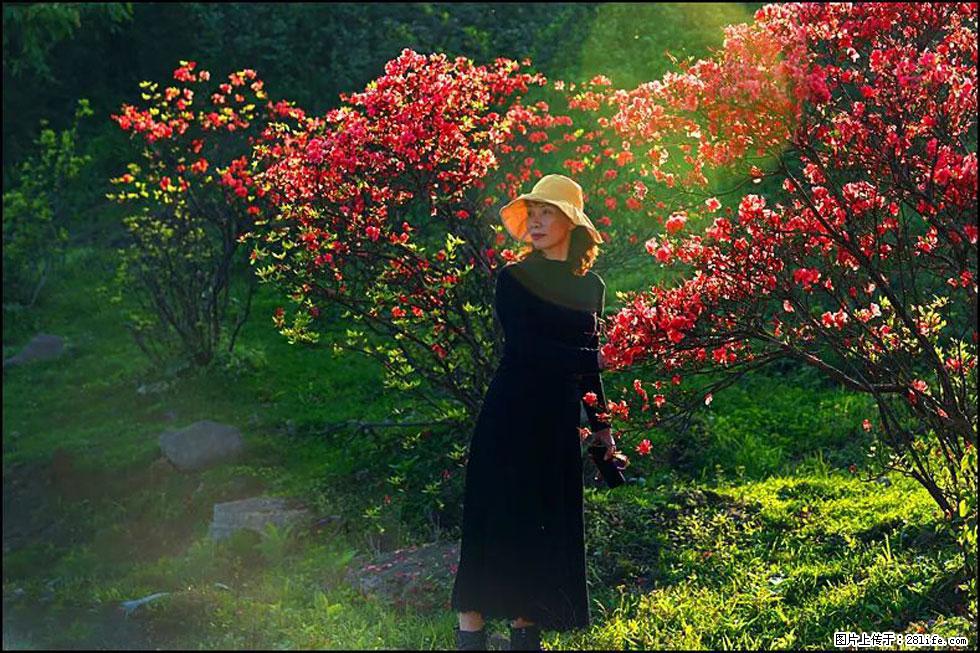 【春天，广西桂林灌阳县向您发出邀请！】春木界上映山红 - 游山玩水 - 淄博生活社区 - 淄博28生活网 zb.28life.com