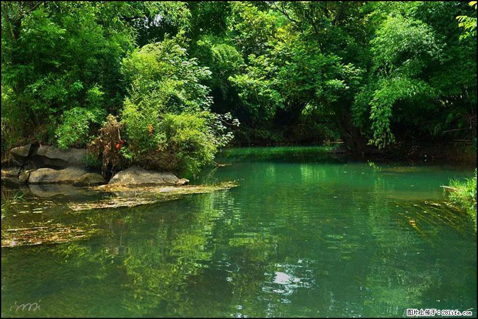 【春天,广西桂林灌阳县向您发出邀请!】如梦似幻莲溪庐 - 游山玩水 - 淄博生活社区 - 淄博28生活网 zb.28life.com