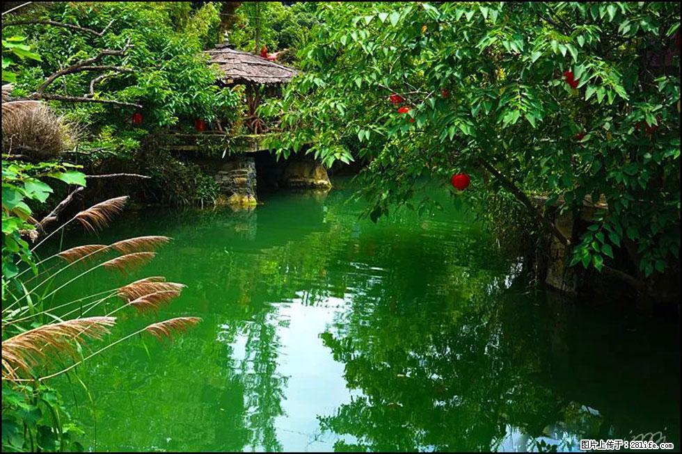 【春天,广西桂林灌阳县向您发出邀请!】如梦似幻莲溪庐 - 游山玩水 - 淄博生活社区 - 淄博28生活网 zb.28life.com