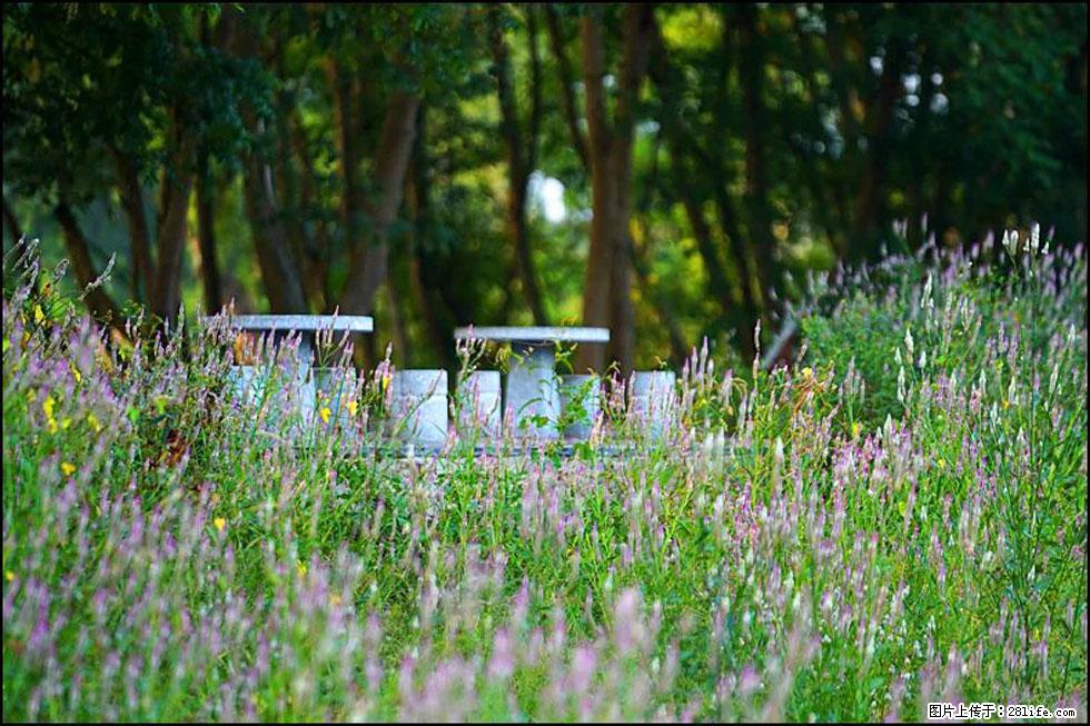 【春天，广西桂林灌阳县向您发出邀请！】熊家寨湿地公园 - 游山玩水 - 淄博生活社区 - 淄博28生活网 zb.28life.com