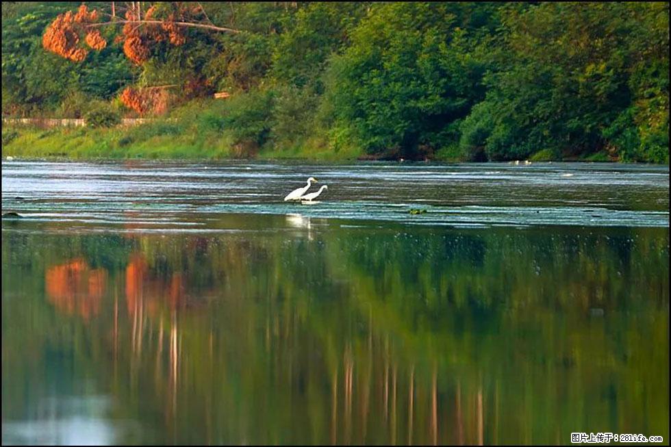 【春天，广西桂林灌阳县向您发出邀请！】熊家寨湿地公园 - 游山玩水 - 淄博生活社区 - 淄博28生活网 zb.28life.com
