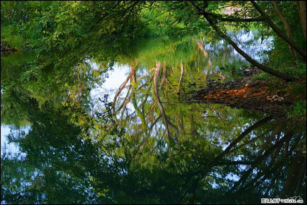 【春天，广西桂林灌阳县向您发出邀请！】熊家寨湿地公园 - 游山玩水 - 淄博生活社区 - 淄博28生活网 zb.28life.com