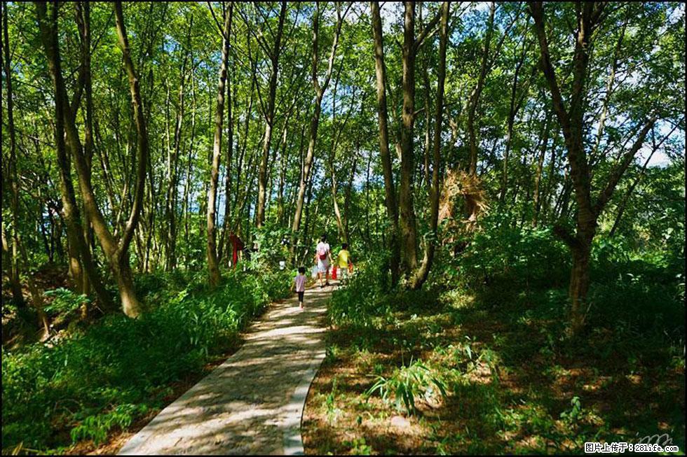 【春天，广西桂林灌阳县向您发出邀请！】熊家寨湿地公园 - 游山玩水 - 淄博生活社区 - 淄博28生活网 zb.28life.com