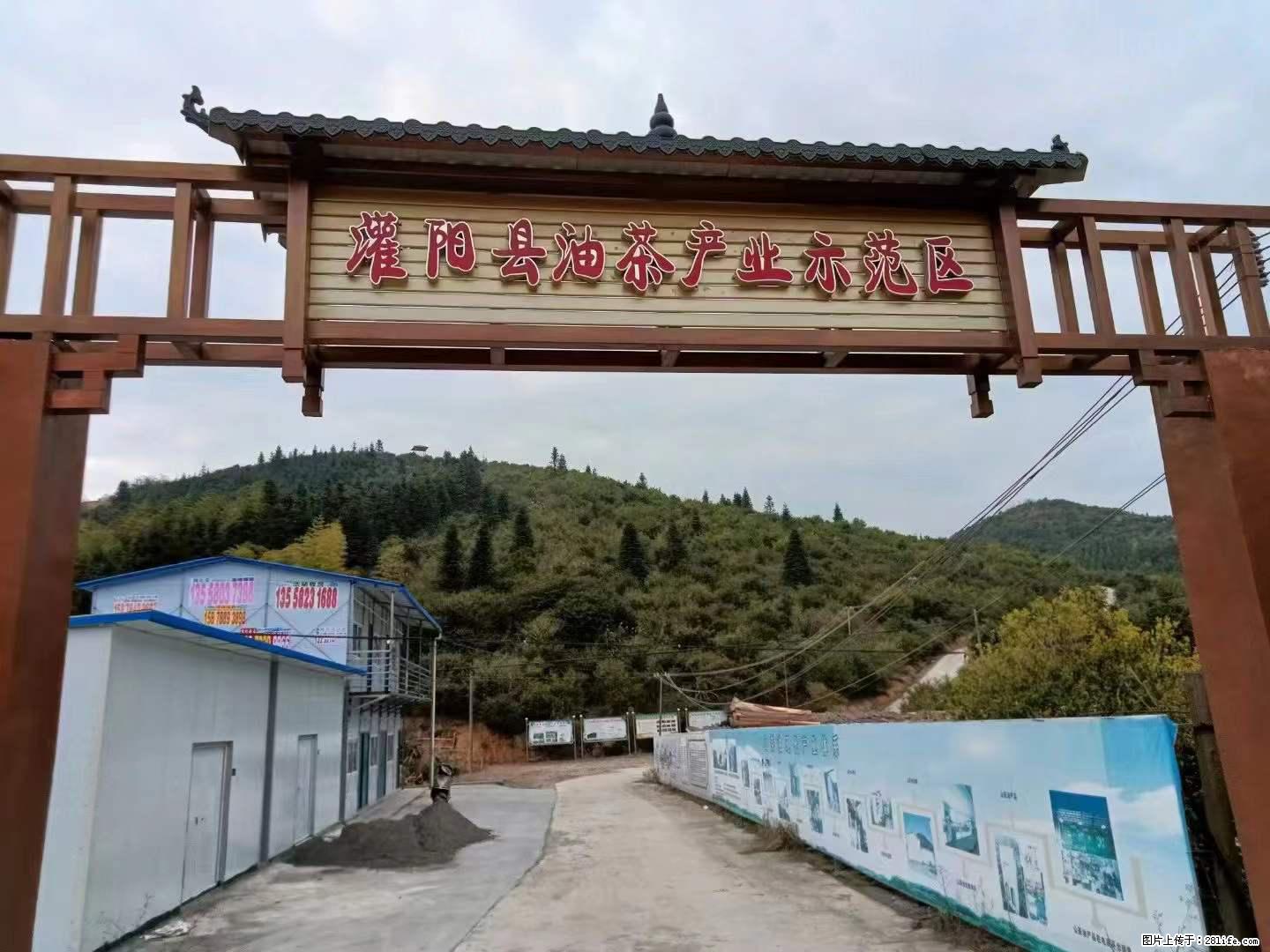 【灌阳县油茶产业示范区】一个有着充实的精神生活的人,对待身外之物自会有一种淡泊的态度 - 土特产 - 饮食特产 - 淄博分类信息 - 淄博28生活网 zb.28life.com