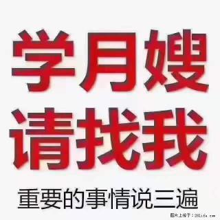 为什么要学习月嫂，育婴师？ - 淄博28生活网 zb.28life.com
