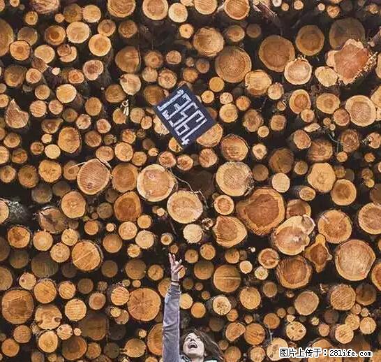 辞掉工作周游世界？现在他们在洗厕所…… - 游山玩水 - 淄博生活社区 - 淄博28生活网 zb.28life.com