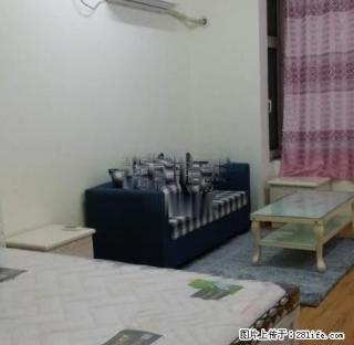 实拍 中央国际 精装一室 可短租 紧邻万象汇 - 淄博28生活网 zb.28life.com