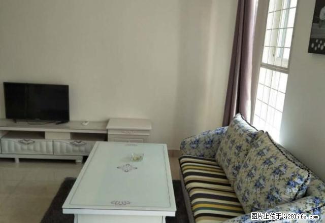 随时看房 温州大厦 精装首租 45平1600元带厨房可做饭 - 房屋出租 - 房屋租售 - 淄博分类信息 - 淄博28生活网 zb.28life.com