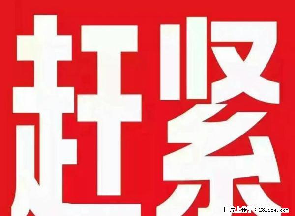 急租,盛世名苑两室,电梯房,精装修,带家具家电,拎包入住! - 房屋出租 - 房屋租售 - 淄博分类信息 - 淄博28生活网 zb.28life.com