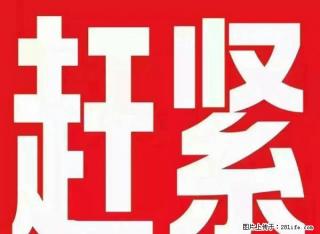 急租，盛世名苑两室，电梯房，精装修，带家具家电，拎包入住！ - 淄博28生活网 zb.28life.com