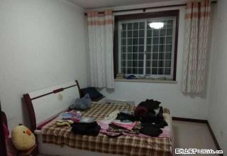 急租！远景花园，大三室精装修，带所有家具家电，拎包入住！ - 淄博28生活网 zb.28life.com