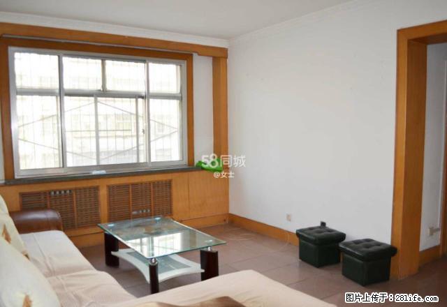 实图!体坛小区!紧邻区实验 植物园 大三室 精装家具家电 - 房屋出租 - 房屋租售 - 淄博分类信息 - 淄博28生活网 zb.28life.com