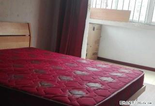 百盛花园 1室1厅1卫 精装修便宜出租，适合附近上班族。 - 淄博28生活网 zb.28life.com