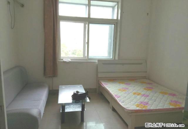 尚文苑邻理工大 精装小公寓温馨舒适 现场实拍 拎包入住 - 房屋出租 - 房屋租售 - 淄博分类信息 - 淄博28生活网 zb.28life.com