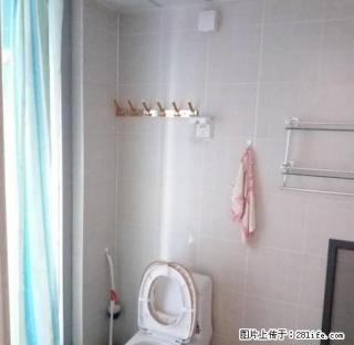 紫园 精装一室 紧邻市实验与理工大 设施齐全 拎包入住！ - 淄博28生活网 zb.28life.com