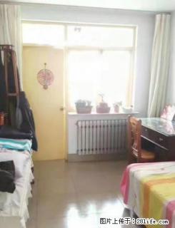 世纪花园 精装三室两厅 155平 大落地窗 3000元每月！ - 淄博28生活网 zb.28life.com