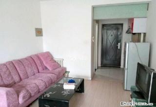 实图吉租 火炬公园翡翠园电梯房精装一室 配置齐全 紧邻绿杉园 - 淄博28生活网 zb.28life.com