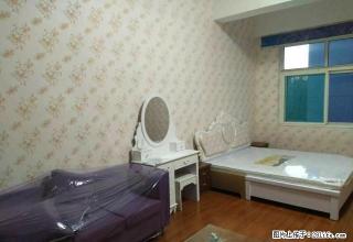 实图吉租 大润发壹品公寓精装一室 配置齐全 紧邻彩世界 - 淄博28生活网 zb.28life.com