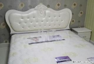 随时看房 华夏国际 精装1室1厅40平1350元实拍拎包入住 - 淄博28生活网 zb.28life.com