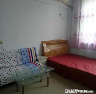 火车站美食街附近兴学街泰达公寓精装家具家电齐全拎包入住 - 淄博28生活网 zb.28life.com