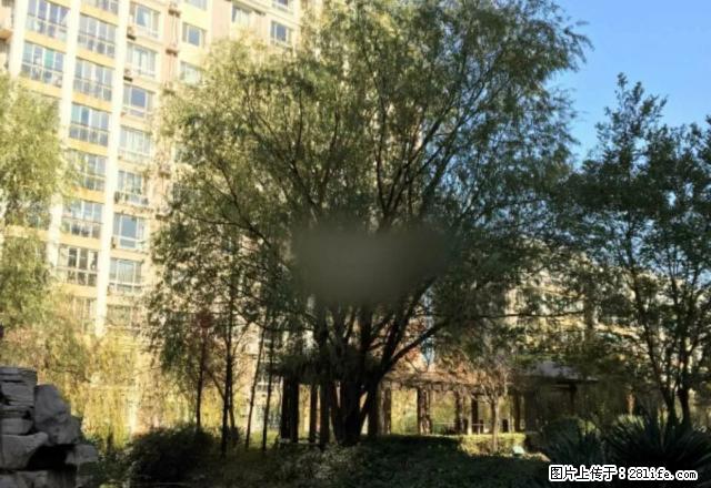 火炬公园西 时代名都 一楼 精装2室 家具家电全 实景图片 - 房屋出租 - 房屋租售 - 淄博分类信息 - 淄博28生活网 zb.28life.com