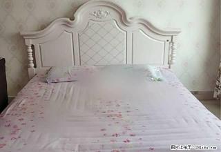 沃尔玛北 尚成大厦 精装1室电梯 家具家电全 独立厨房 实图 - 淄博28生活网 zb.28life.com