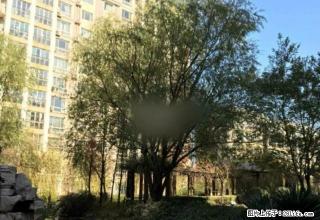 火炬公园西 时代名都 一楼 精装2室 家具家电全 实景图片 - 淄博28生活网 zb.28life.com