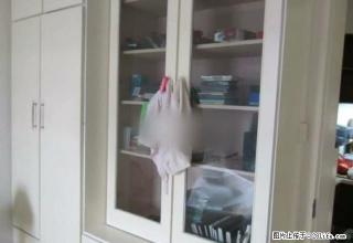 联通路 丽景翠苑 精装2室 家具家电全 包含网费 实景图片 - 淄博28生活网 zb.28life.com