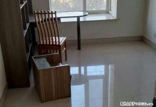 实景图片世纪花园五星园四楼 带暖气 带带暖气 - 淄博28生活网 zb.28life.com