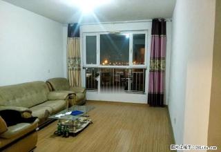 齐悦国际（精装两室、超值1600元）实景、谁看谁相中 - 淄博28生活网 zb.28life.com