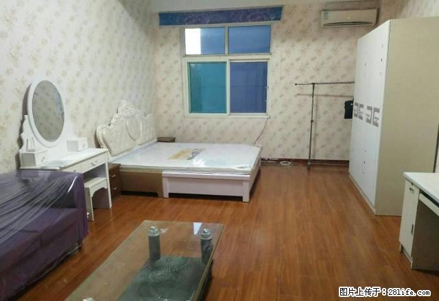 电梯房一品公寓50平带新家具 出租 - 房屋出租 - 房屋租售 - 淄博分类信息 - 淄博28生活网 zb.28life.com