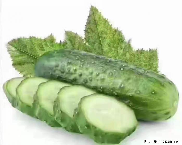 【生活小常识】吃黄瓜的好处 - 生活百科 - 淄博生活社区 - 淄博28生活网 zb.28life.com