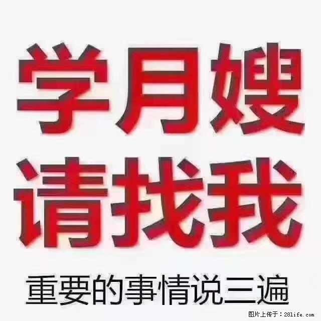 【招聘】月嫂，上海徐汇区 - 职场交流 - 淄博生活社区 - 淄博28生活网 zb.28life.com
