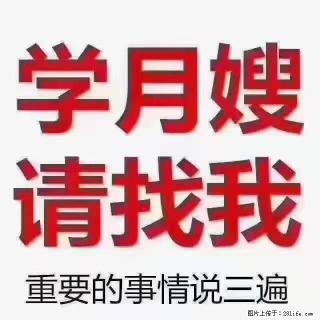 【招聘】月嫂，上海徐汇区 - 淄博28生活网 zb.28life.com