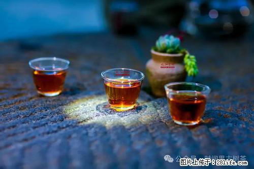 时间果百年古树2025年春红茶 - 购物交流 - 淄博生活社区 - 淄博28生活网 zb.28life.com