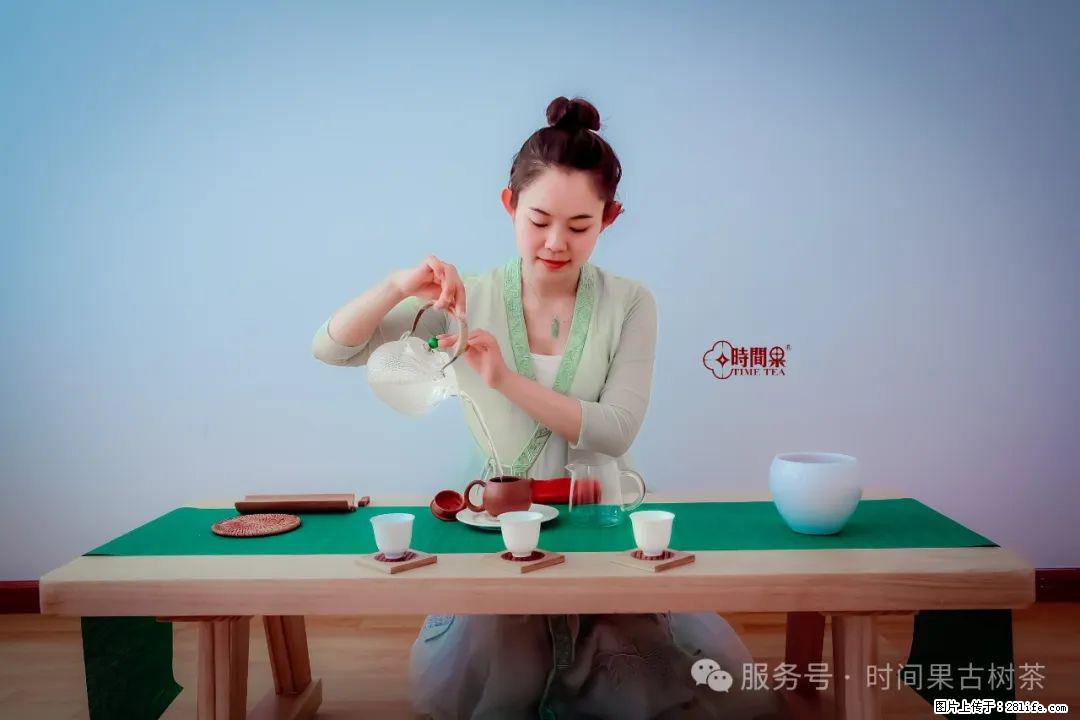 时间果百年古树龙珠普洱生茶 - 购物交流 - 淄博生活社区 - 淄博28生活网 zb.28life.com