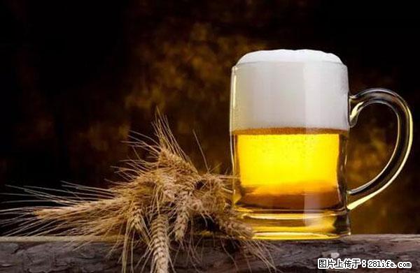 原来它这么毒，然而竟然满大街都是.... - 淄博生活资讯 - 淄博28生活网 zb.28life.com